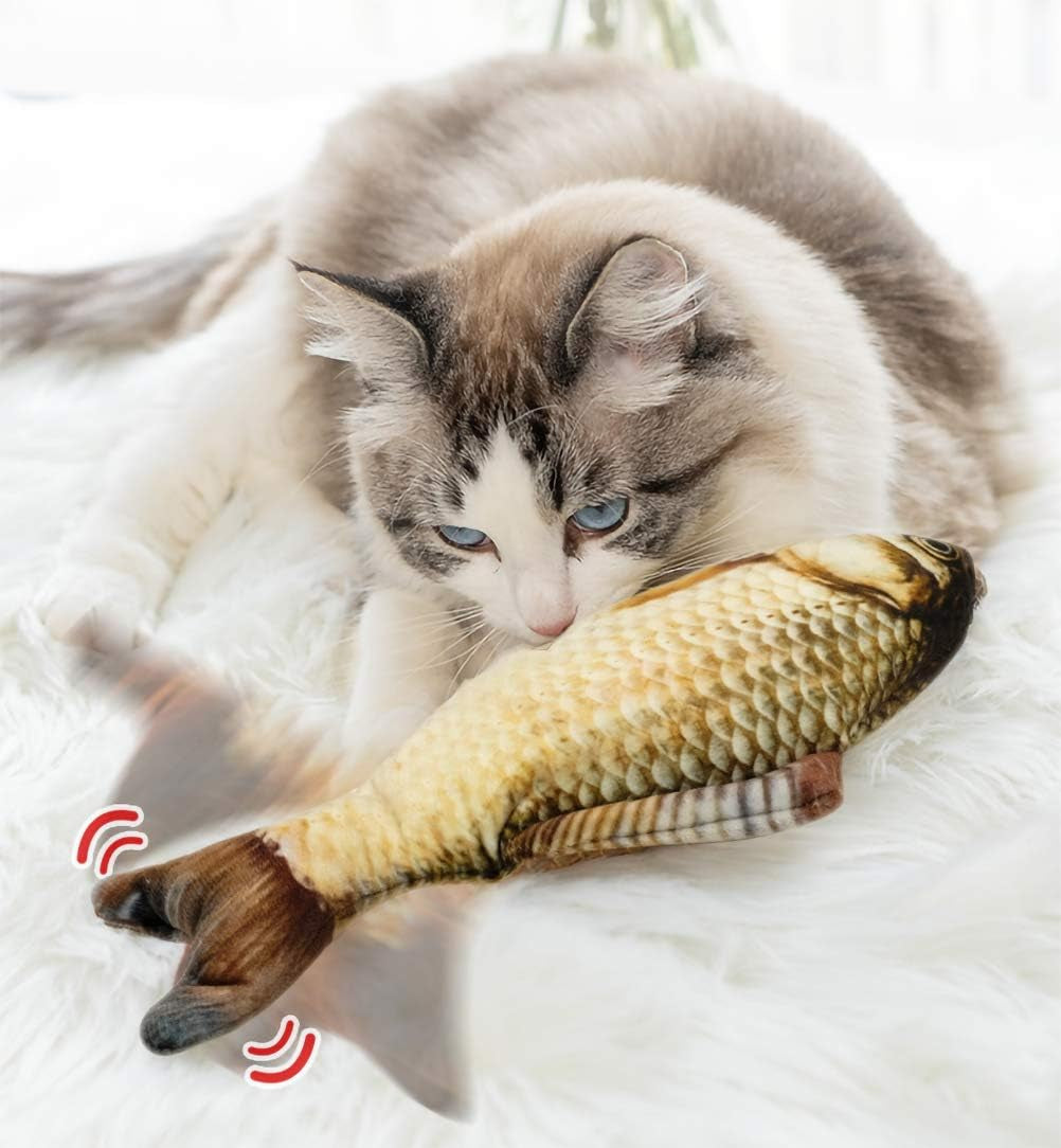 Indoor Enrichment