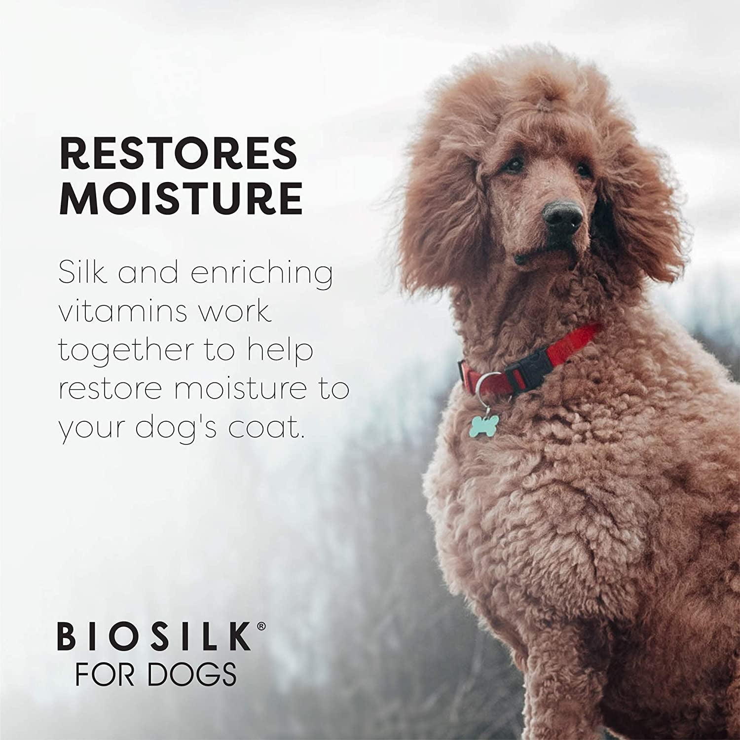 Silk Therapy Conditioning Detangling Spray for Dogs with Natural Coconut Oil, Leave-In Detangler and Conditioner, Dematting Grooming Spray, Sulfate Free, 7 Fl Oz