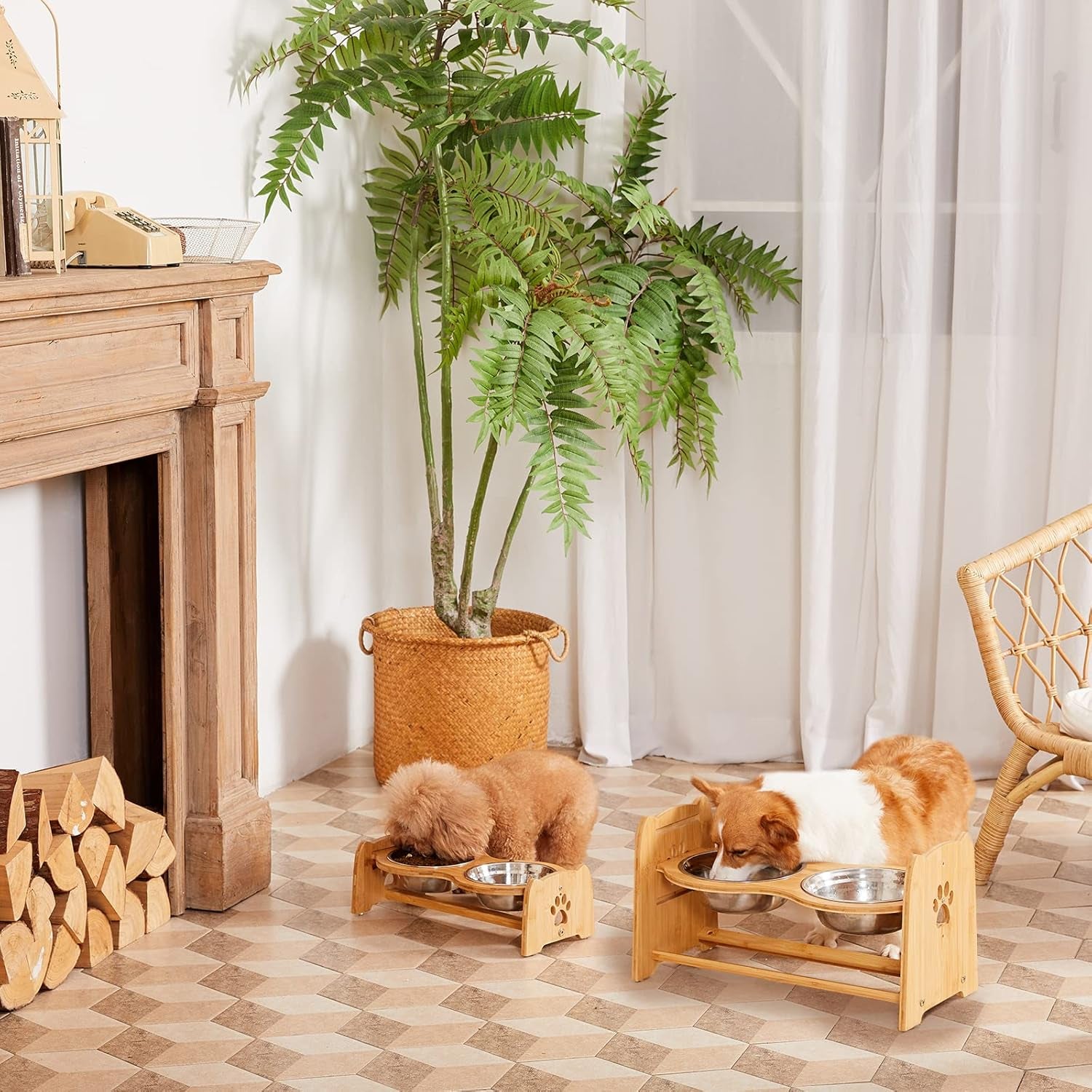 Adjustable Bamboo Elevated Pet Bowls – Raised Food & Water Feeder for Cats & Medium Dogs
